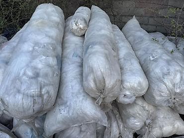 пластиковые стекла: Прием пластика, 2 - HDPE (ПВД) — 3