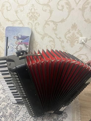 Гитары: Аккордеон клавишно-кнопочный, классический черный корпус с — 2