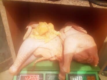 Курица :, 1 кг, 2 кг, 3 кг, Самовывоз, Бесплатная доставка, Платная доставка