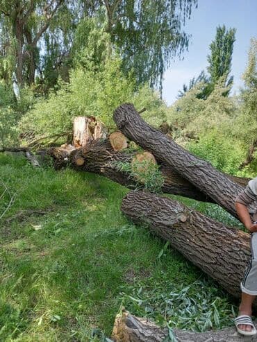 работа бишкеке 55 для женщин: Работа нужны разнорабочие. От 25 лет до 35 лет. В День . С 8:00 — 2