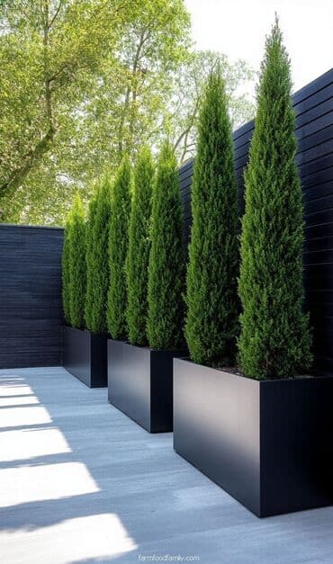 горшковые цветы: Современные прямоугольные кашпо «Box Series» для дома и улицы - — 5