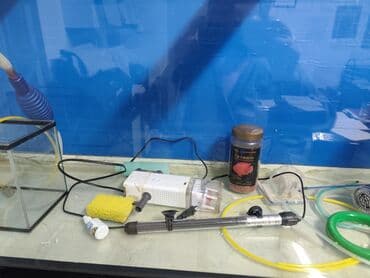 аквариум: Просторный аквариум панорамного типа с чёрной рамой. - Прямоугольная — 4