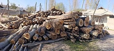 станок резка пенопласта: ТЕРЕКТИН БАРДЫК ТУРУН САТЫП АЛАБЫЗ ТЕРЕК, БАКА ТЕРЕК — 1
