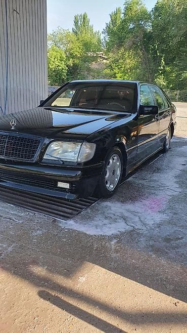 Mercedes-Benz S-Class: 1995 г., 3 л, Автомат, Дизель, Седан — 3