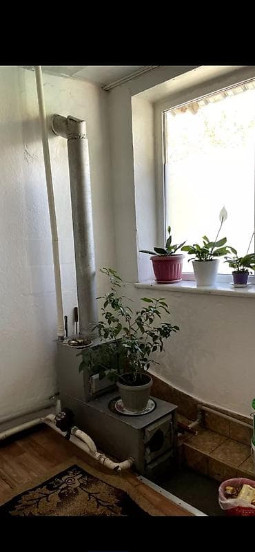 аренда пес: 70 м², 4 комнаты, Забор, огорожен — 2