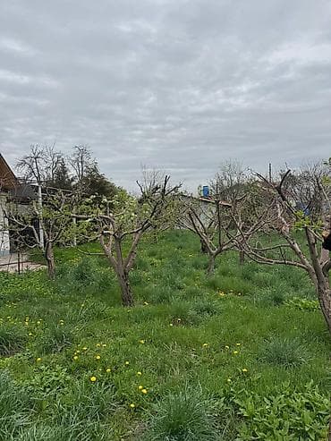 земля ивановка: Другие удобства для дома и сада — 9