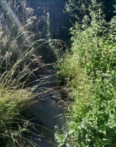 продаю дом село арашан: Дом, 75 м², 5 комнат — 30