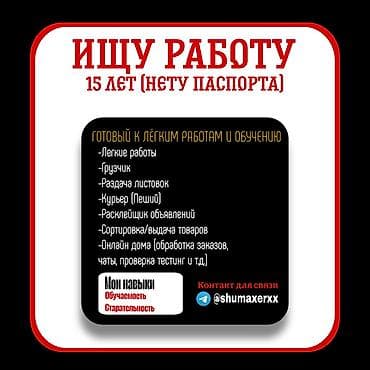 Помощник. Без опыта