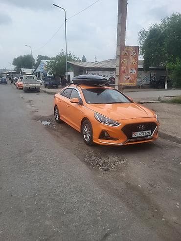 шторка соната: Hyundai Sonata: 2019 г., 2 л, Автомат, Газ, Седан — 8