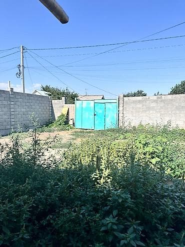 5 соток, Кызыл китеп, Техпаспорт — 5