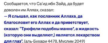 кардиган с мехом: Витамины B2, Универсальный, Новый — 3