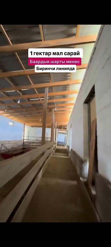 искать квартиру: Farm КРС, 1000 соток, Отопление — 9