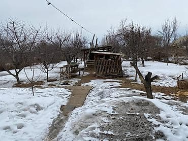 продаю дом село тюп: Жилой дом с приусадебным участком и документами - Государственный акт — 3