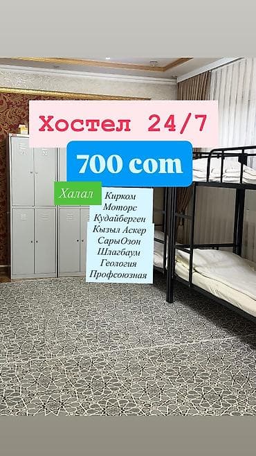 сму геология: Хостел 24/7 — 700 сом - Размещение в общих комнатах с двухъярусными — 1