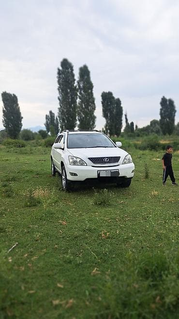 рейл: Lexus RX: 2004 г., Автомат, Бензин, Кроссовер — 2