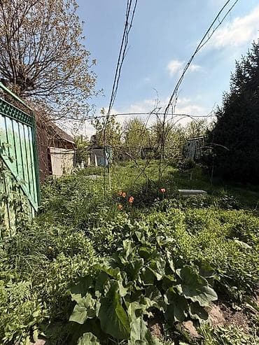 карагечева роща: 🏡 Продаётся дача 🚨Локация: с Таш Мойнок, СО Победа 📍 Летний домик 📍4 — 1