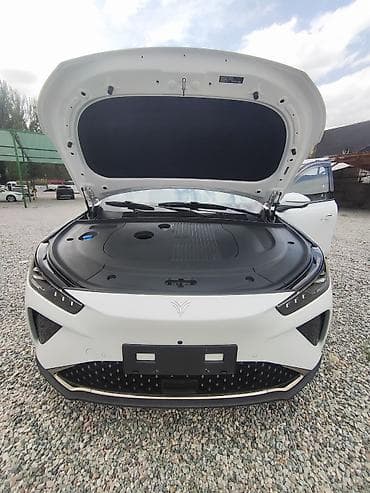 Neta L 310 Электрический кроссовер (белый цвет кузова) с современным