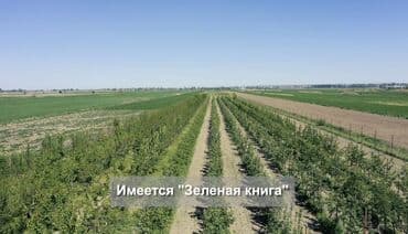 частный дом в бишкеке: 400 соток, Для строительства — 3