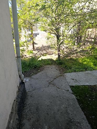 добрыня дача: Продаётся садовый участок с домиком и хозпостройками. - Зелёный — 2