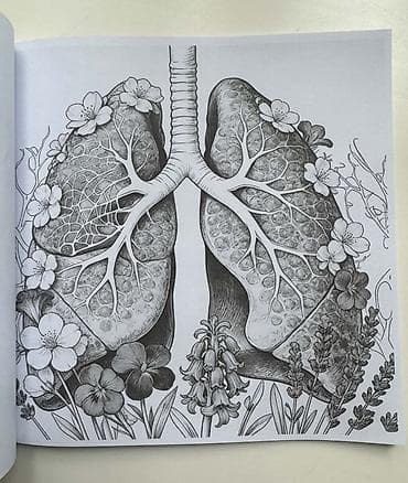 Книги и журналы: Анатомическая раскраска Human Anatomy Coloring Book для взрослых😻🫀 — 4