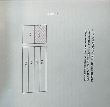 марской контейнер: 6 соток, Красная книга — 5