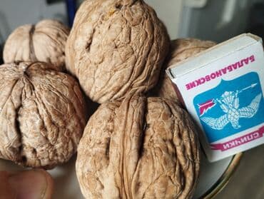 купить шкаф для одежды бишкек: Продаю Саженцы. больших грецких Орехов . Их можно сажать с осени до — 3