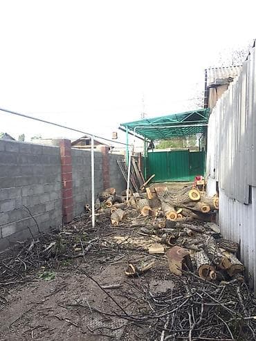 работа вентиляция: Снос аварийных деревьев Распил Укорачивание веток И т.д Убираем — 8