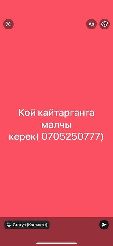 Резюмелер: Услуга: пастух для отар овец Описание: - Опытная помощь в выгоне и — 1