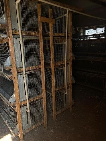 Многоярусные клетки и оборудование для содержания птицы
