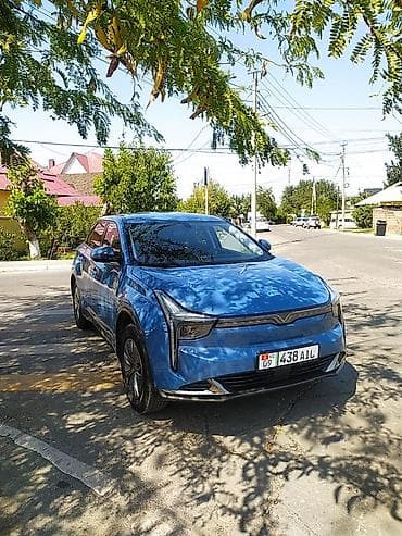 Hozon: Hozon Neta U-II: 2024 г., 1 л, Автомат, Электромобиль, Кроссовер — 2