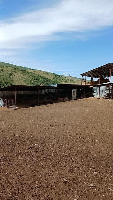 беловодское продажа квартир: 100 соток, Красная книга — 6