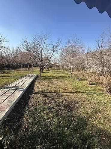 рынок ортосай: 4 соток — 1