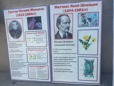 биология 8 класс адам кыргызча: Набор учебных плакатов по биологии: «Грегор Иоганн Мендель — 1