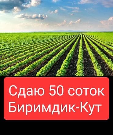 Земельные участки: 50 соток Для сельского хозяйства — 4