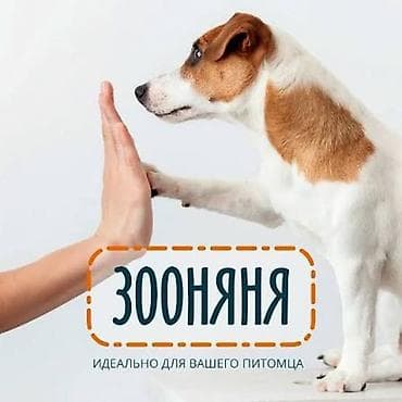 Животные: ?яня — забота о вашем питомце, когда вас нет дома. Что входит: - — 1