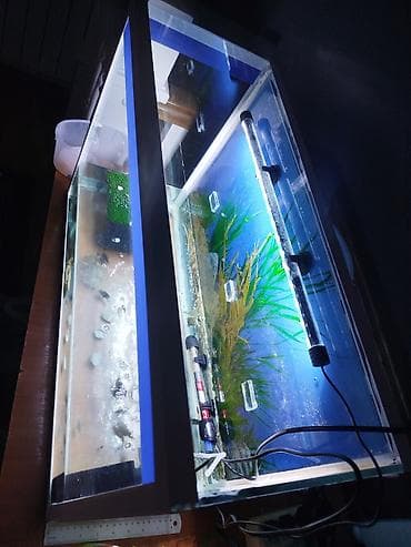 big 6: Аквариумный комплект на 80 литров для домашних рыб и водных черепах — 7