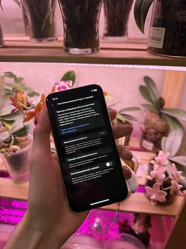 тру: IPhone Xr, Б/у, 128 ГБ, Белый, 77 % — 5