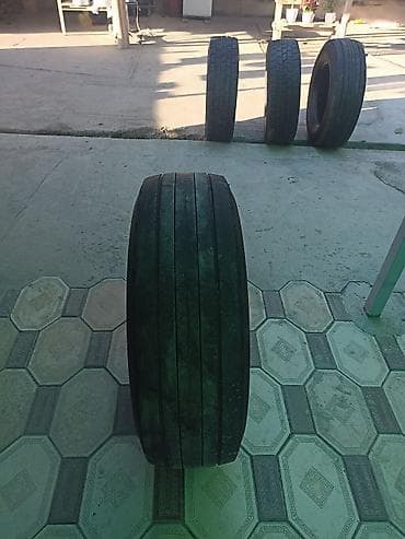 Грузовые шины 265/70 R19.5 - Модель: Sava Cargo C3 (на фото также — 7