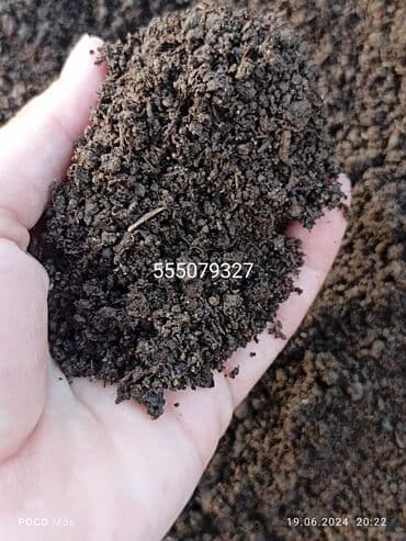 чернозем для газона: Чернозем просеянный земля в мешках для газона для деревьев и т.д — 1