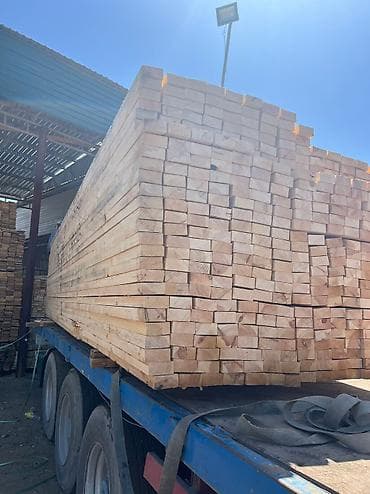 лыжи бишкек: Лес — 3