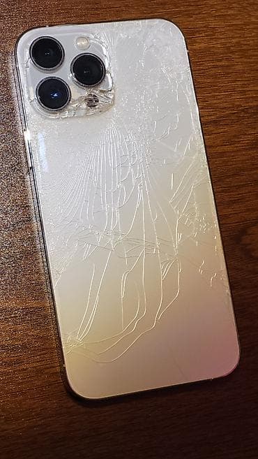 IPhone 13 Pro Max, 256 ГБ, Серебристый, 79 %