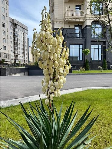 4 комнаты, 148 м², Элитка, 9 этаж, ПСО (под самоотделку) — 3