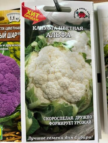 морковь семена: Семена капусты «Колобок» «Амагер 611» «Московская Поздняя 15» «Слава — 10