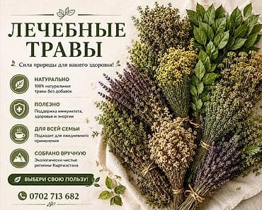 Травы (сборы), Для иммунитета, Новый