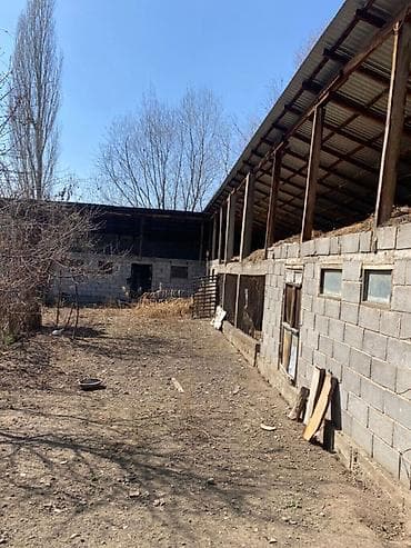 Дома: Продается просторный участок с домом в Беш-Кунгее вторая линия — 4