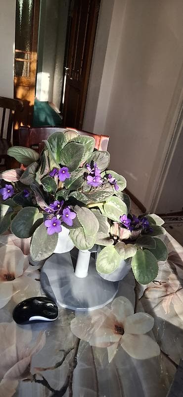 декор для салона красоты: Декор для дома и сада, Самовывоз — 4