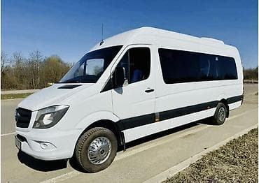 Материалдар: Жука чел кабык, түсү - Ак — 7