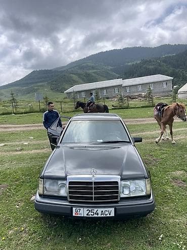 windom 2003: Mercedes-Benz W124: 1992 г., 2.3 л, Бензин, Седан — 4