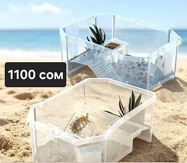 Птицы: Аквариумы и террариумы из прозрачного пластика 1) Компактный — 4