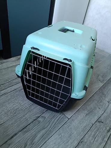 переноска для котят: Переноска для кошек/мелких собак - Жесткая пластиковая переноска — 1